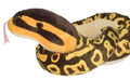 54" Snake