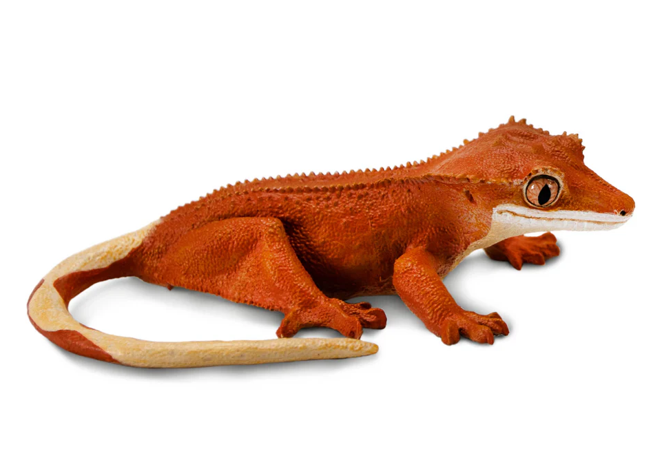 Safari LTD Animals