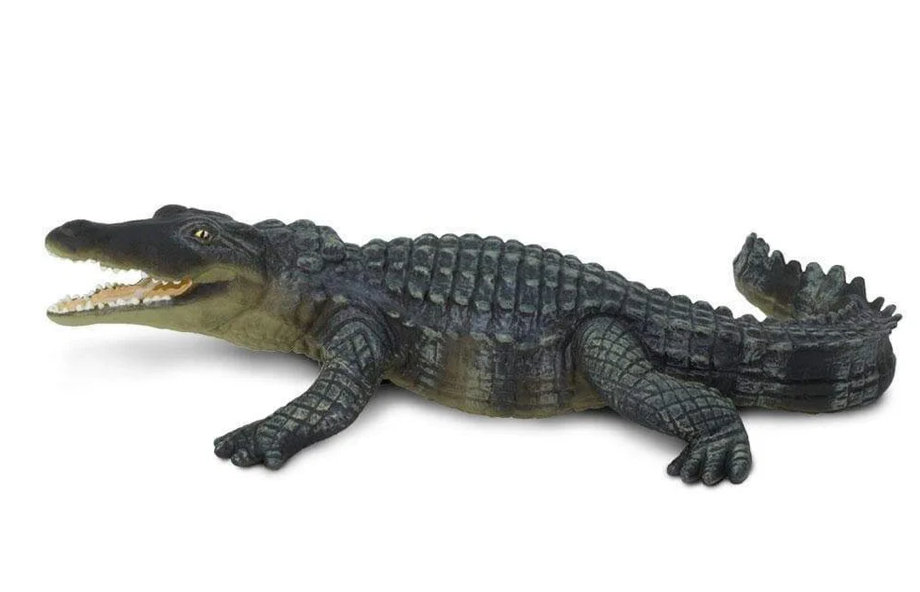 Safari LTD Animals