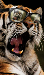 Tiger Selfie Youth T-Shirt