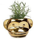 Funky Monkey Planter