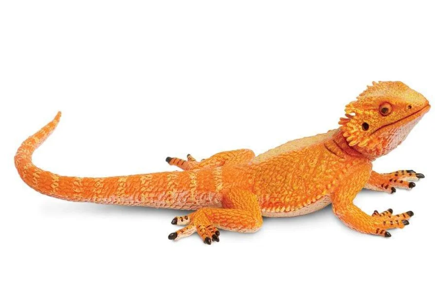 Safari LTD Animals