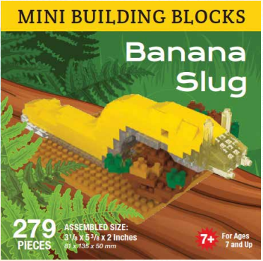 Mini Building Blocks