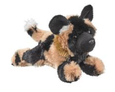 African Wild Painted Dogs