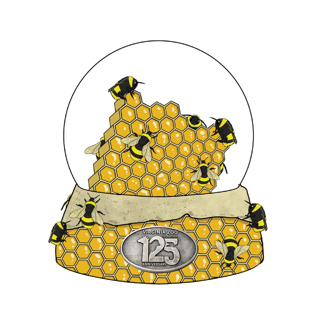 65MM Snow Globe
