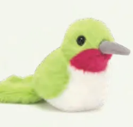 Birding
