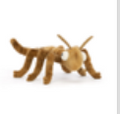 Bugs