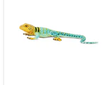 Safari LTD Animals