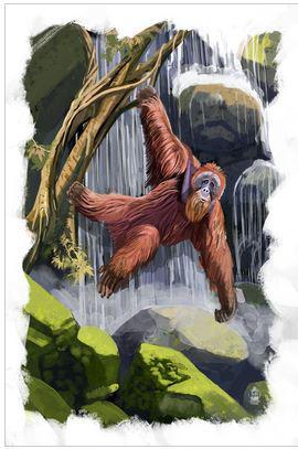 Animal Art Print 9x12