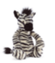 Bashful 12"