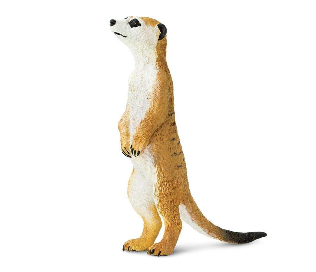 Safari LTD Animals